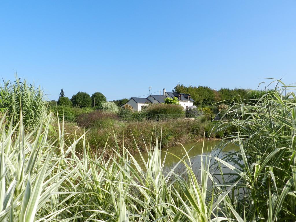 Gîte La Grenouillère Esqueheries Extérieur photo