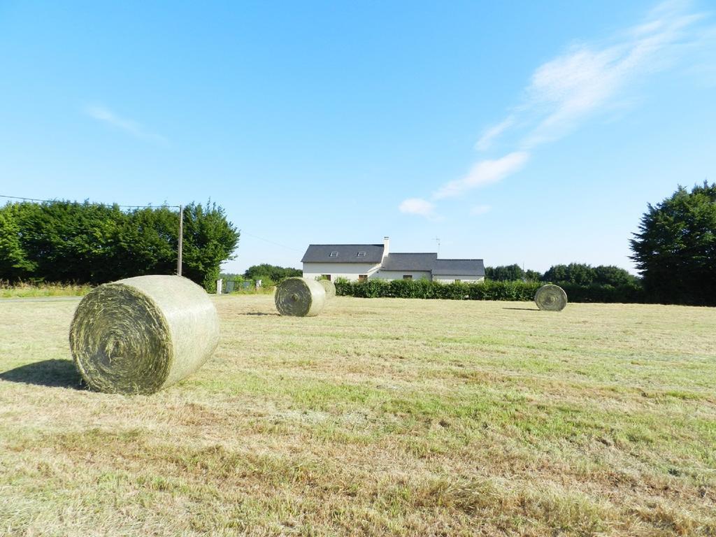 Gîte La Grenouillère Esqueheries Extérieur photo