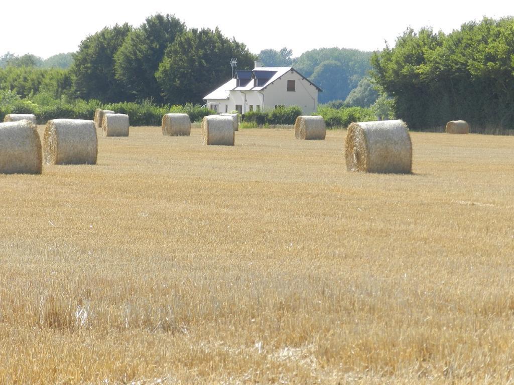 Gîte La Grenouillère Esqueheries Extérieur photo