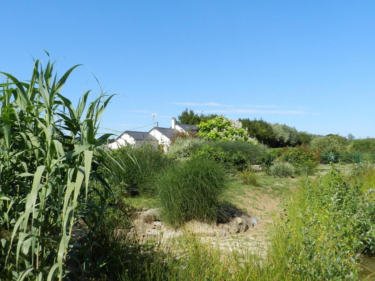 Gîte La Grenouillère Esqueheries Extérieur photo