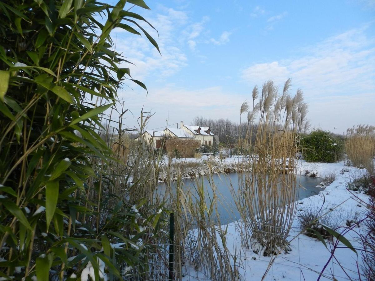 Gîte La Grenouillère Esqueheries Extérieur photo